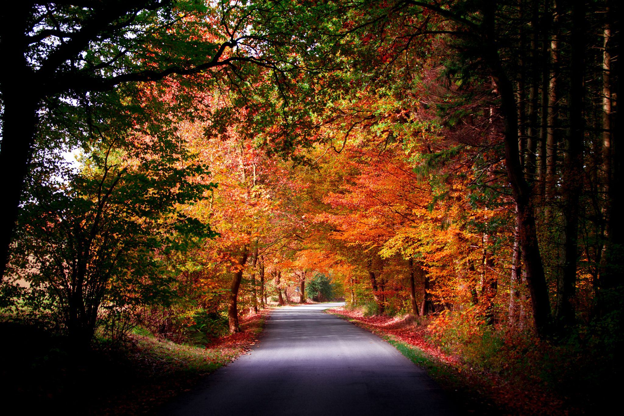 Haarweg - Soester Börde, Germany