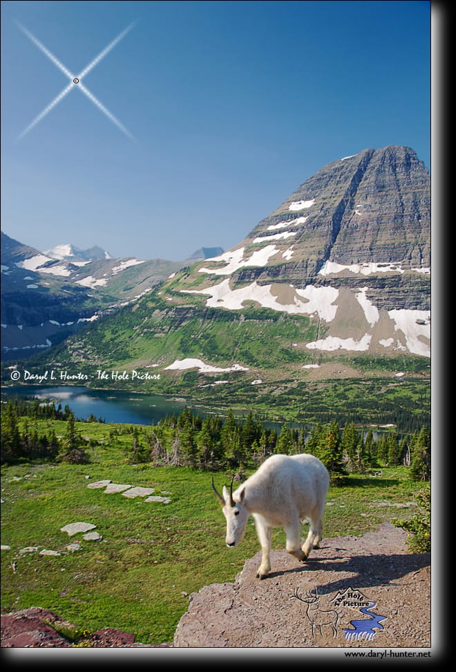 Hidden Lake Overlook, Glacier National Park, USA