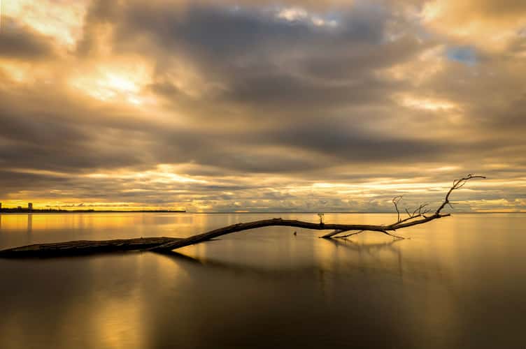 Humber Bay Arch Bridge, Toronto