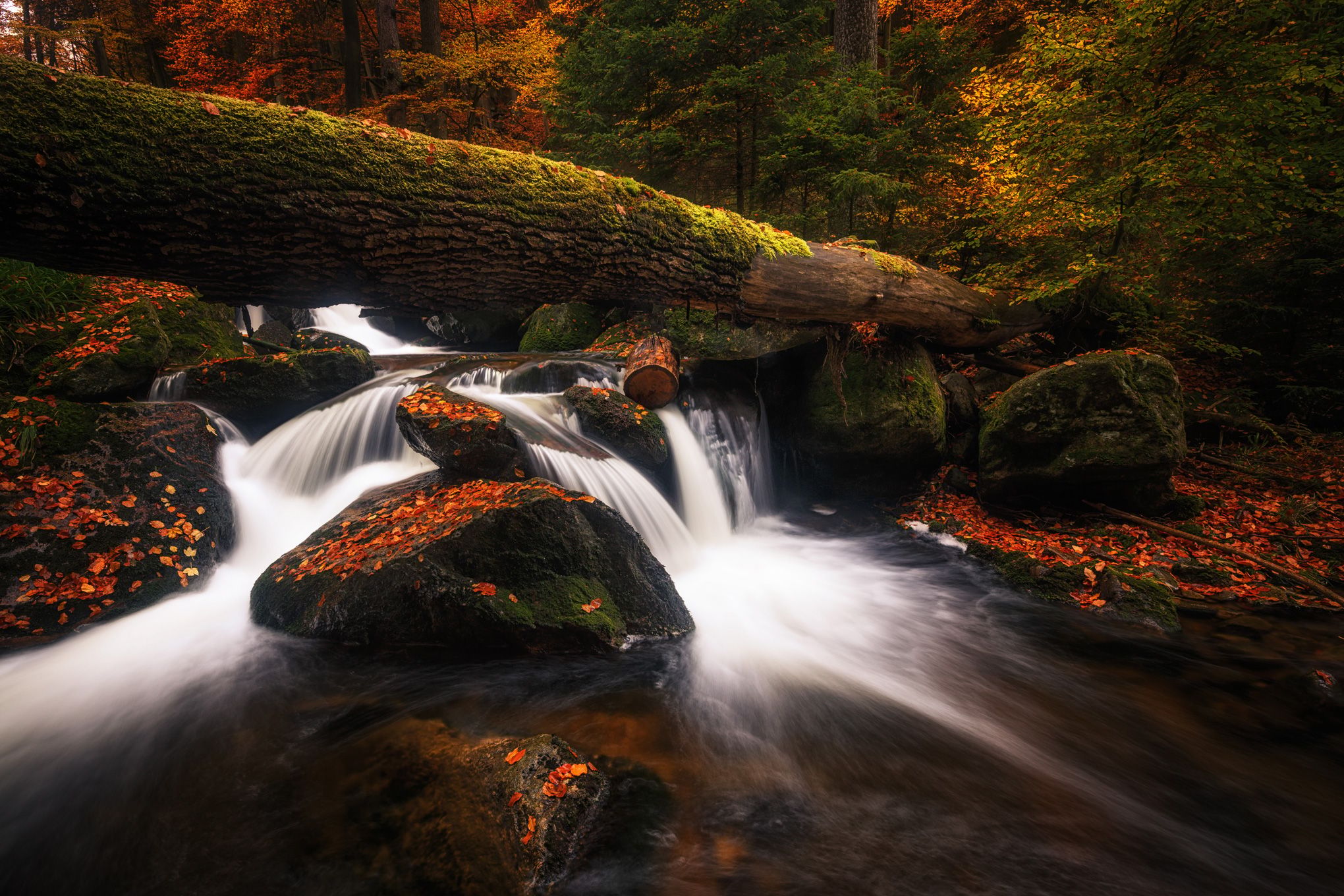 Ilsefälle, Harz, Germany