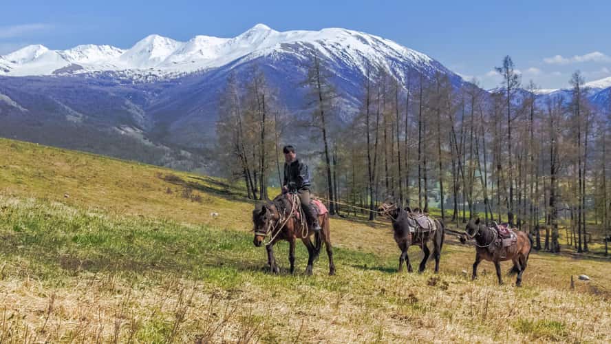 Kanas Grassland