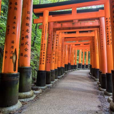 Kasuga Taisha, Shinto Shrine, Torii alley, Japan