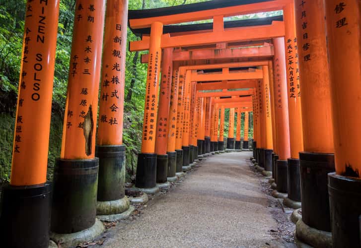 Kasuga Taisha, Shinto Shrine, Torii alley
