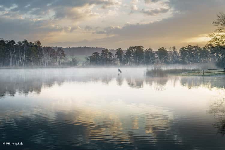 Landing Stage at Katzensee, Zurich