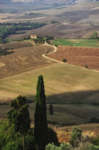 Seldom photographed site in Pienza, Tuscany