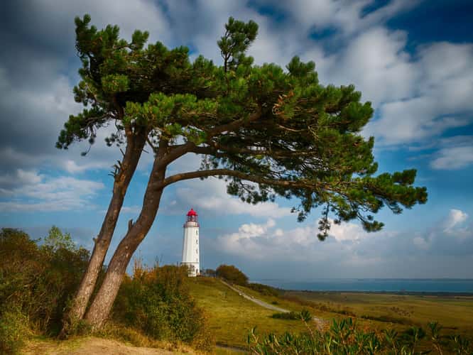 Lighthouse Dornbusch Close Up