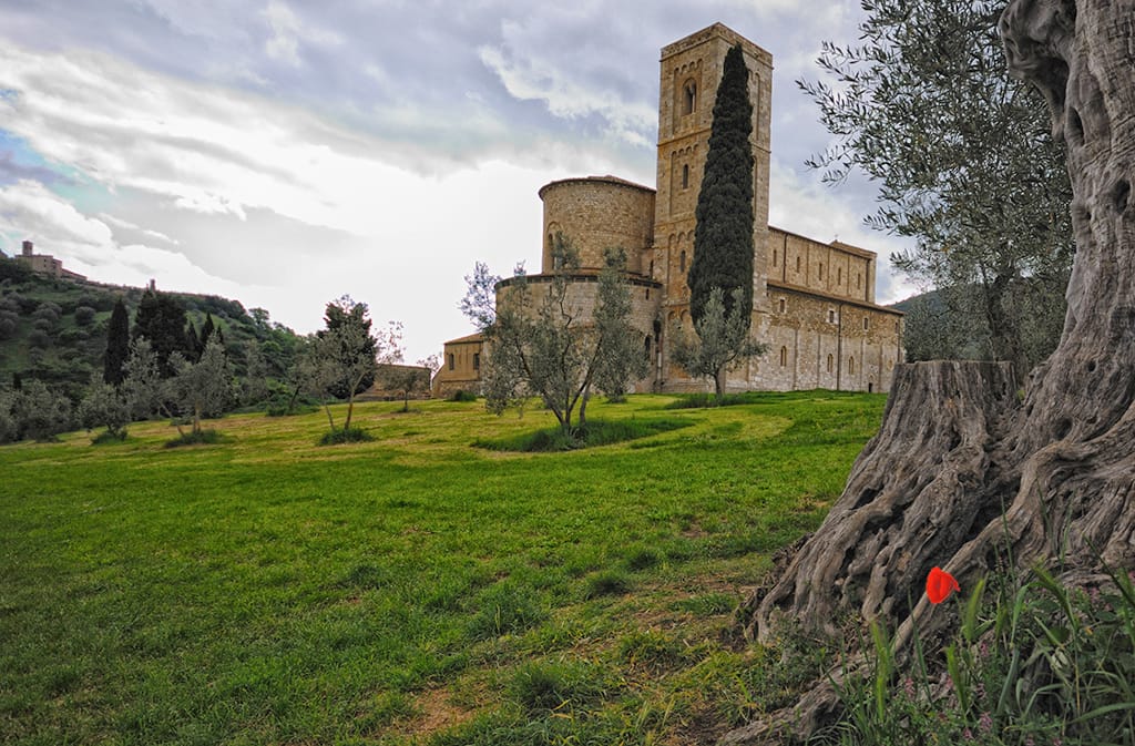 Murlo Countryside, Italy