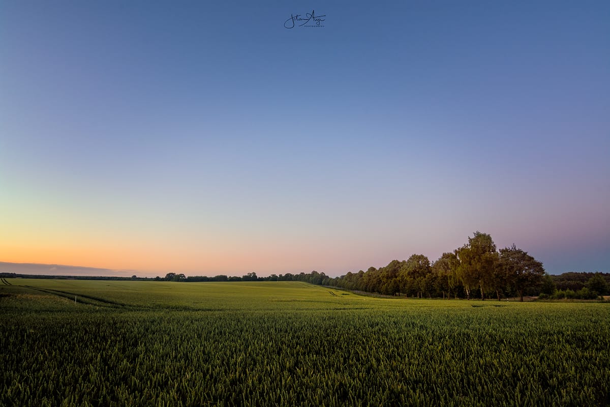 Oher Straße, Reinbek, Germany