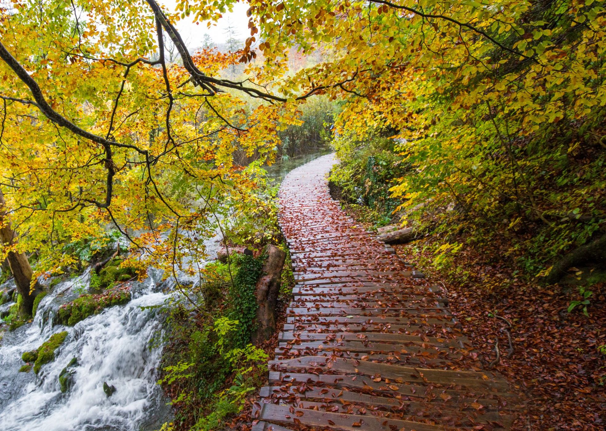 Plitvice Lakes National Park, Croatia