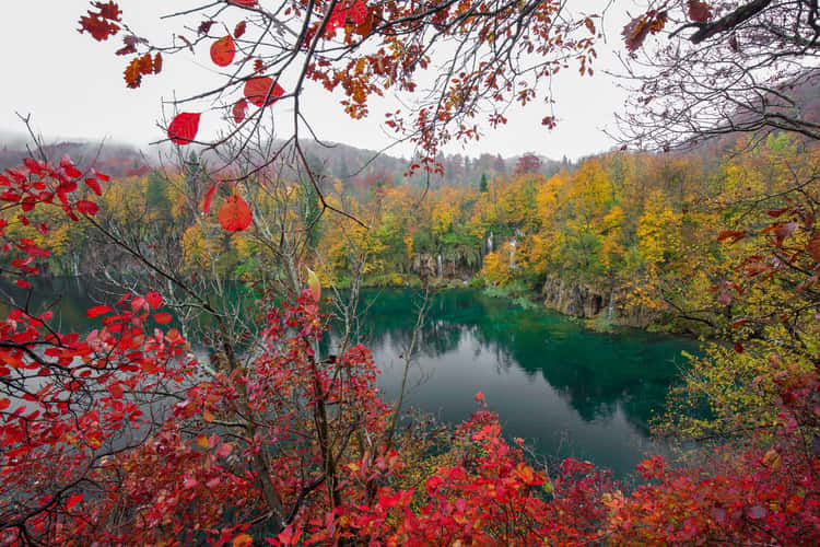 Plitvice Lakes National Park