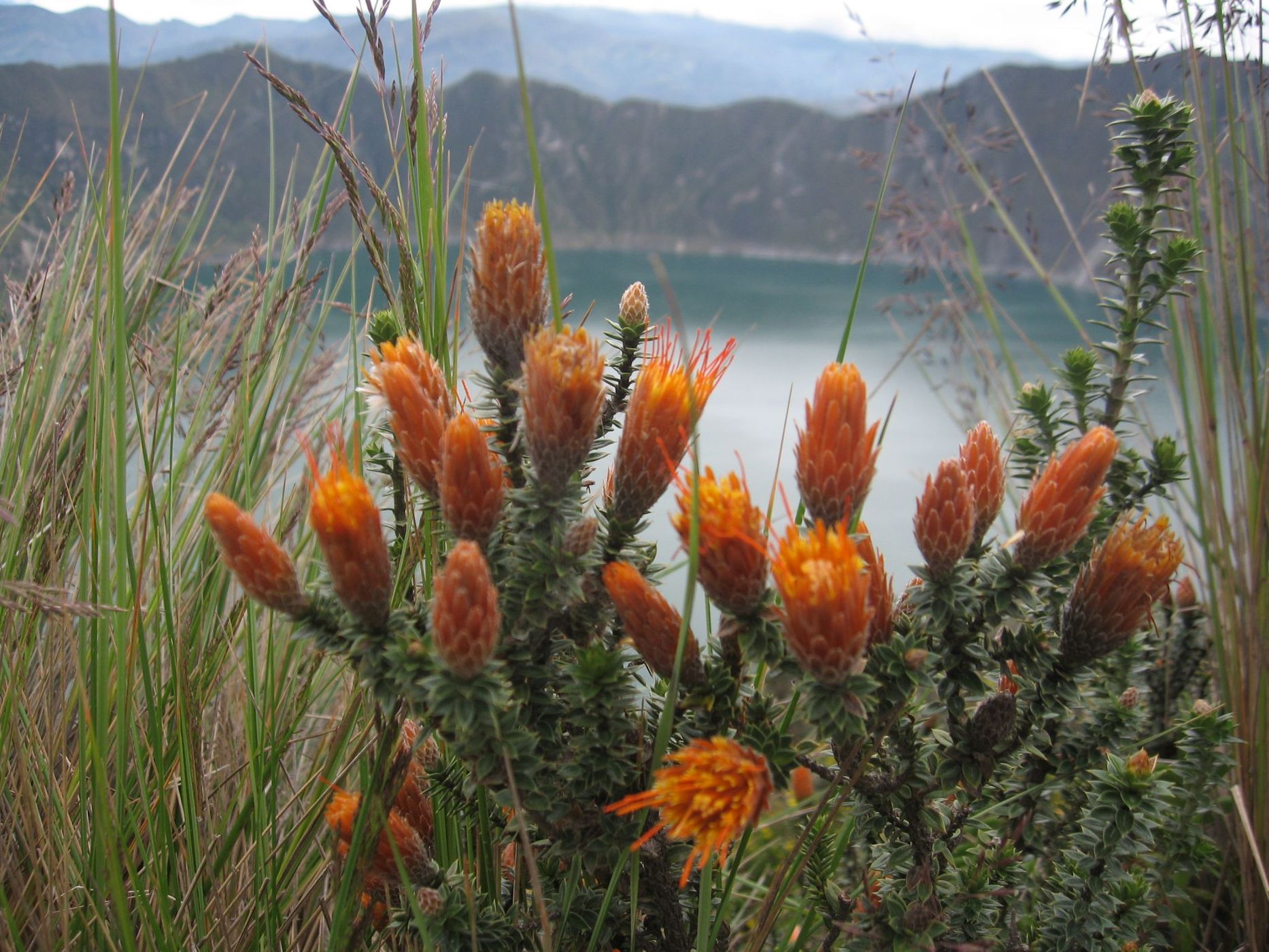 Quilotoa, Ecuador