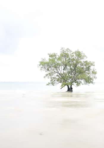 Railay beach, Krabi