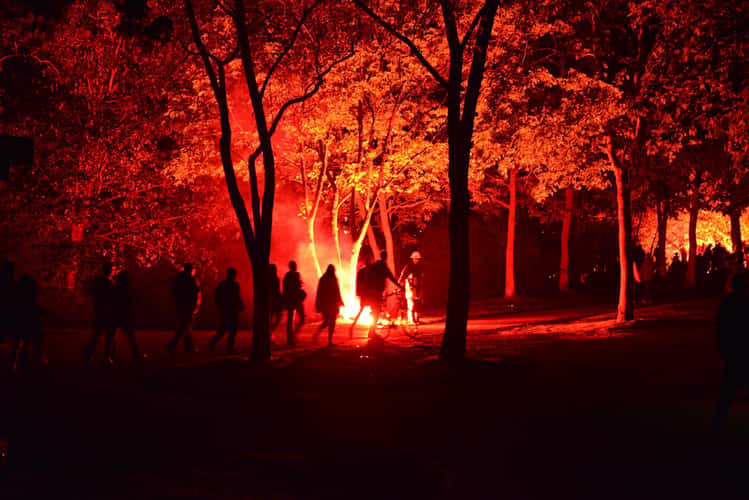 Rheinaue, Bonn