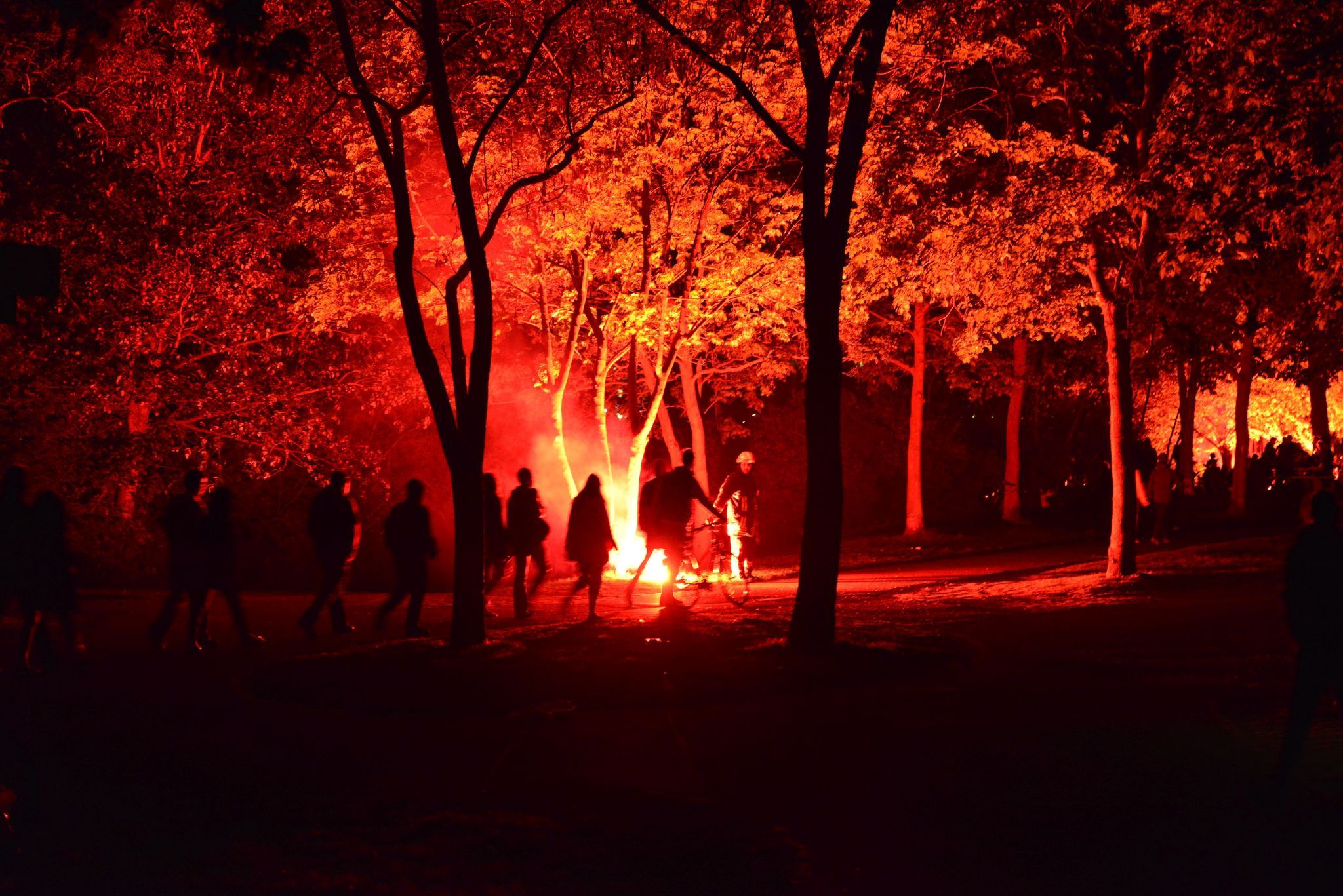 Rheinaue, Bonn, Germany