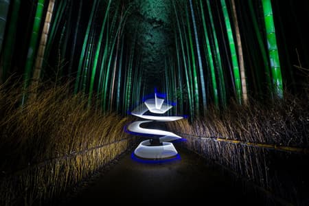 Sagano bamboo forest