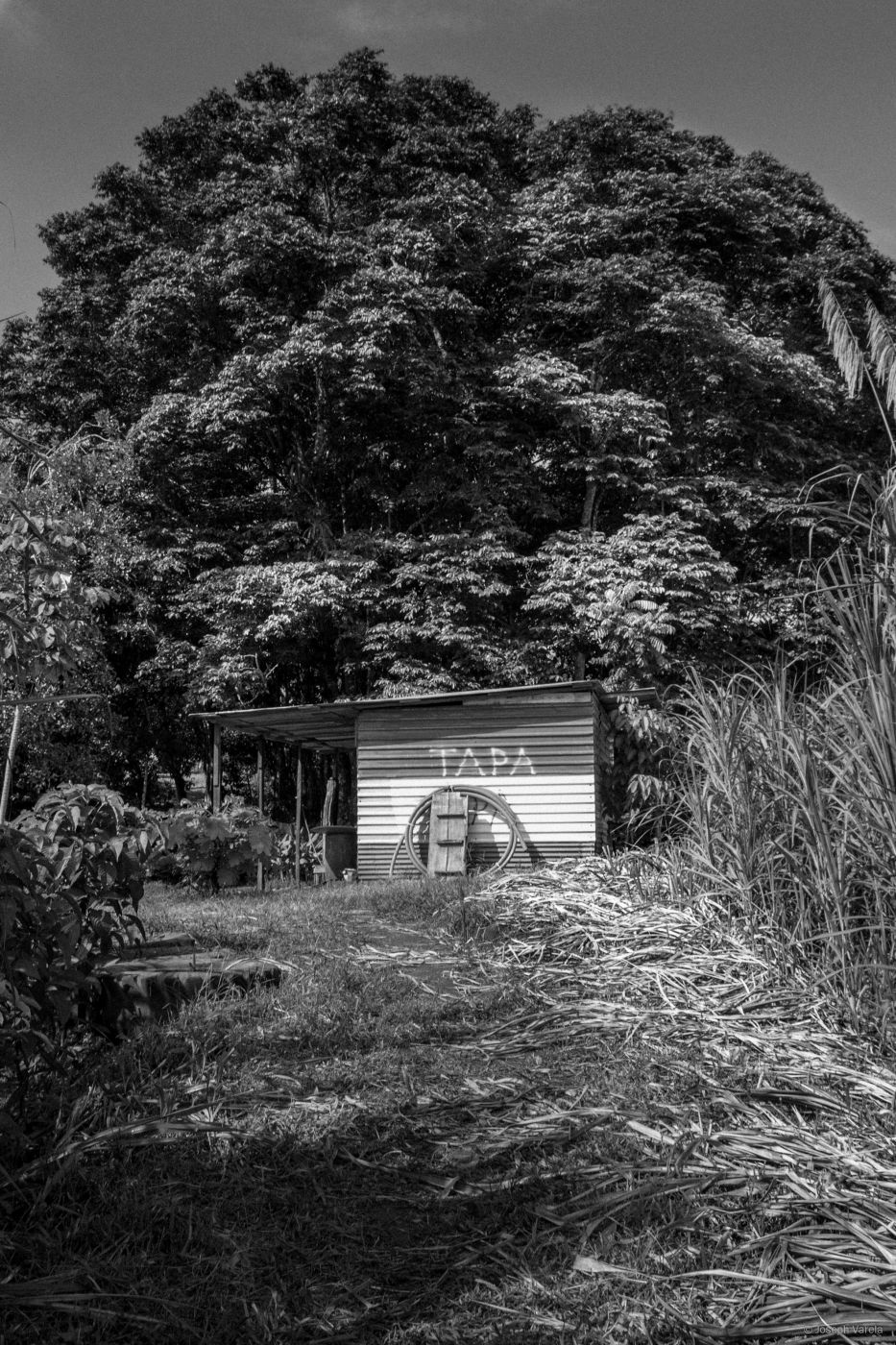 San Carlos, Costa Rica