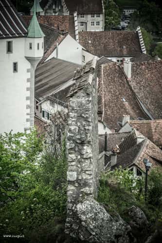 Schlossruine Stein