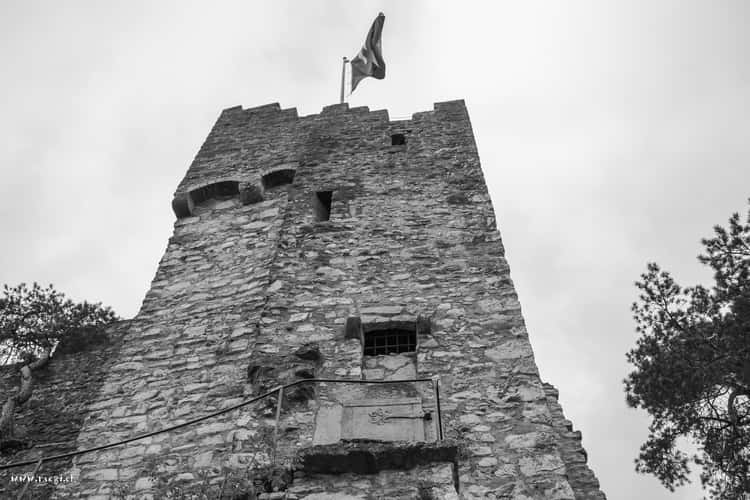 Schlossruine Stein