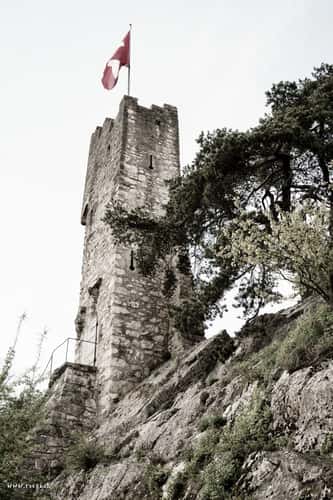 Schlossruine Stein