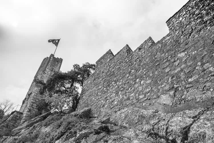 Schlossruine Stein