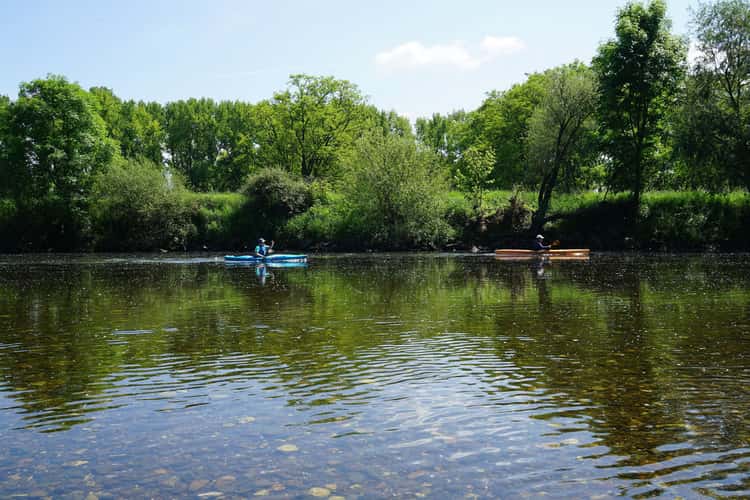 Siegauen - Flood Lands of Sieg River
