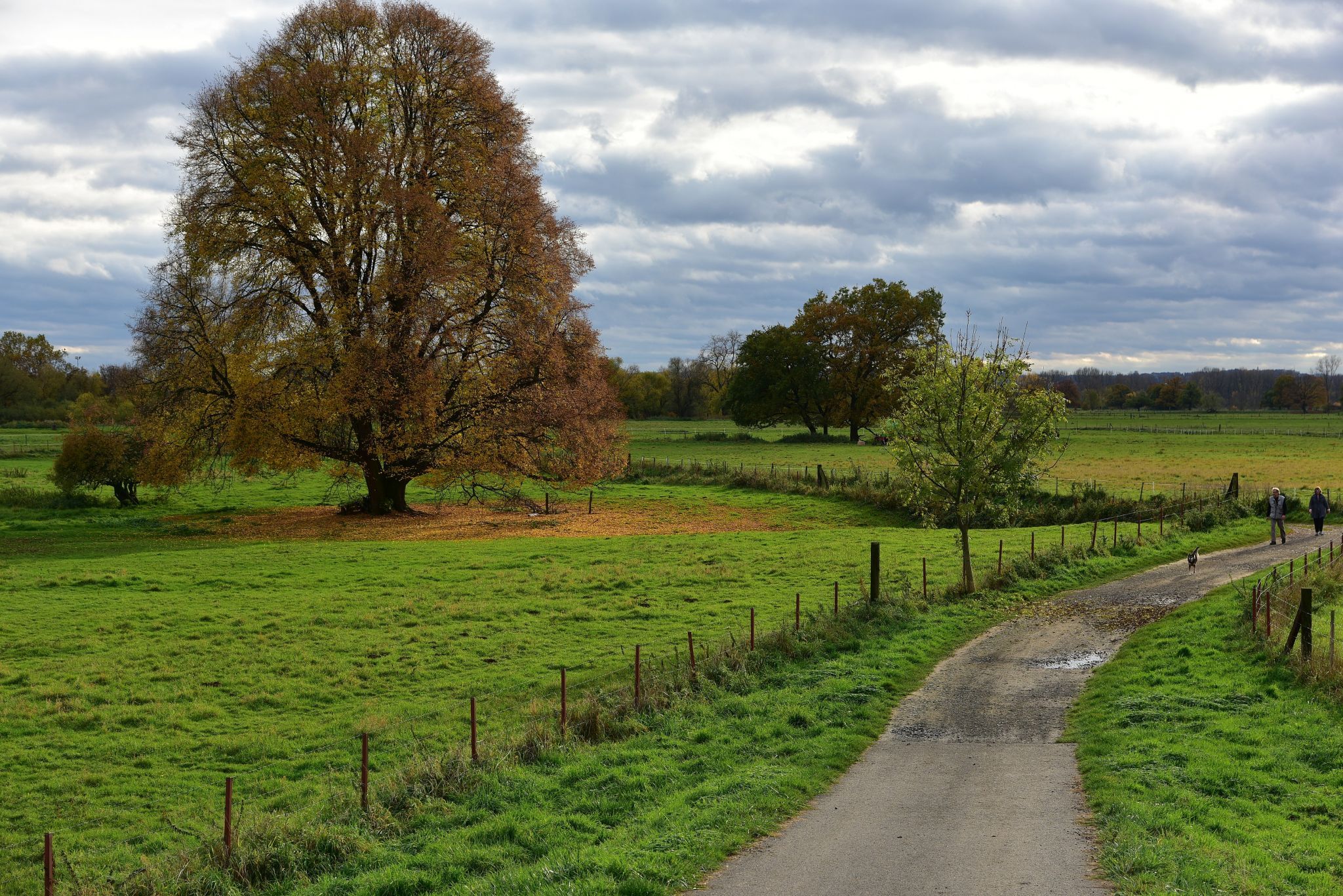 Siegauen - Flood Lands of Sieg River, Germany