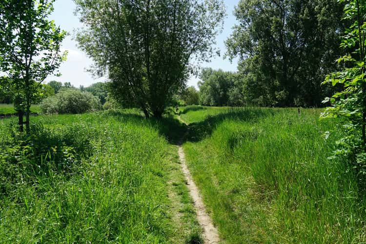 Siegauen - Flood Lands of Sieg River