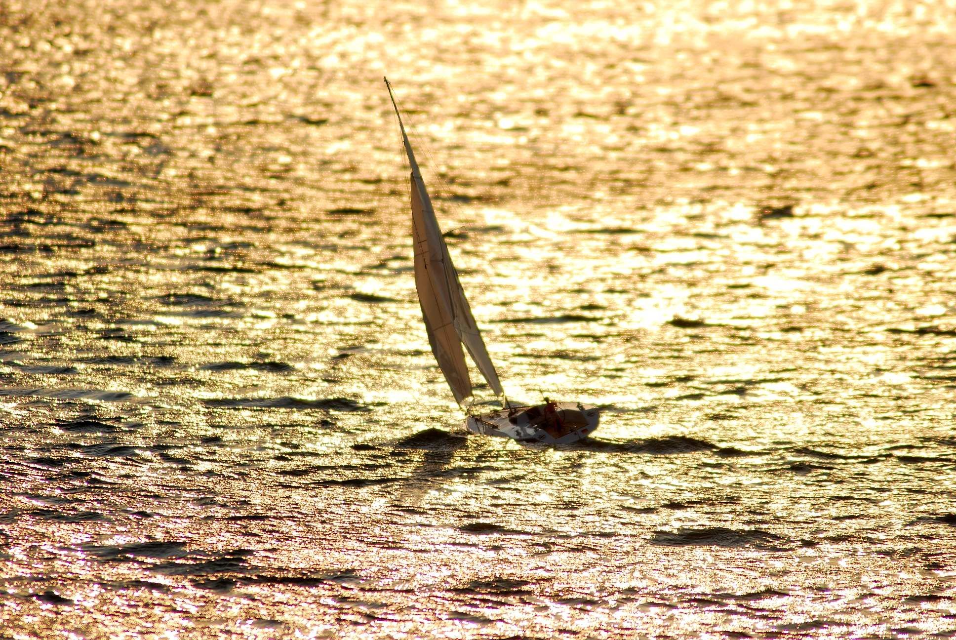 Sieglarer See, Bonn, Germany
