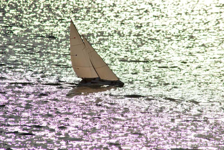 Sieglarer See, Bonn