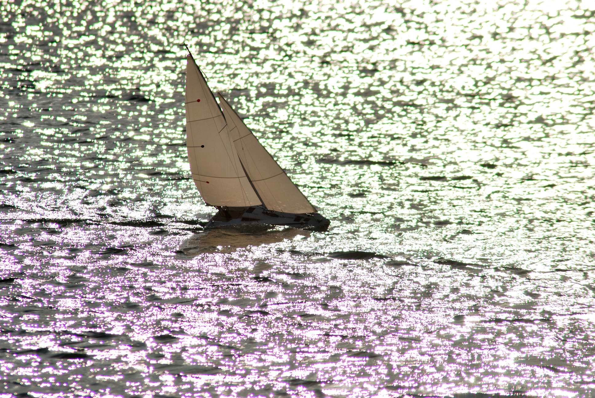 Sieglarer See, Bonn, Germany