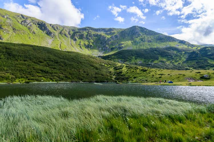 Stiol lake