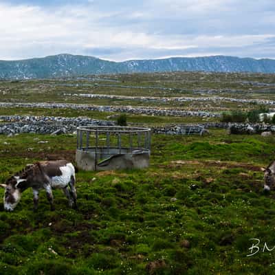 Stone Shortage Not Imminent, Ireland
