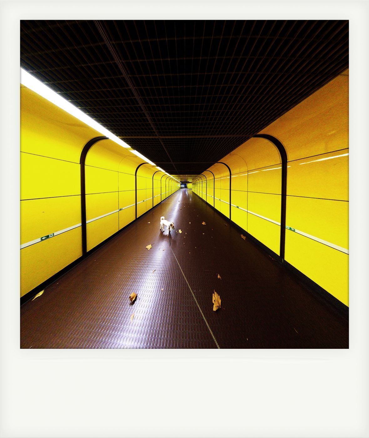 Subway Station Gronau Heussallee/ Museumsmeile, Bonn, Germany