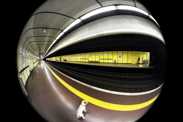 Subway Station Gronau Heussallee/ Museumsmeile, Bonn