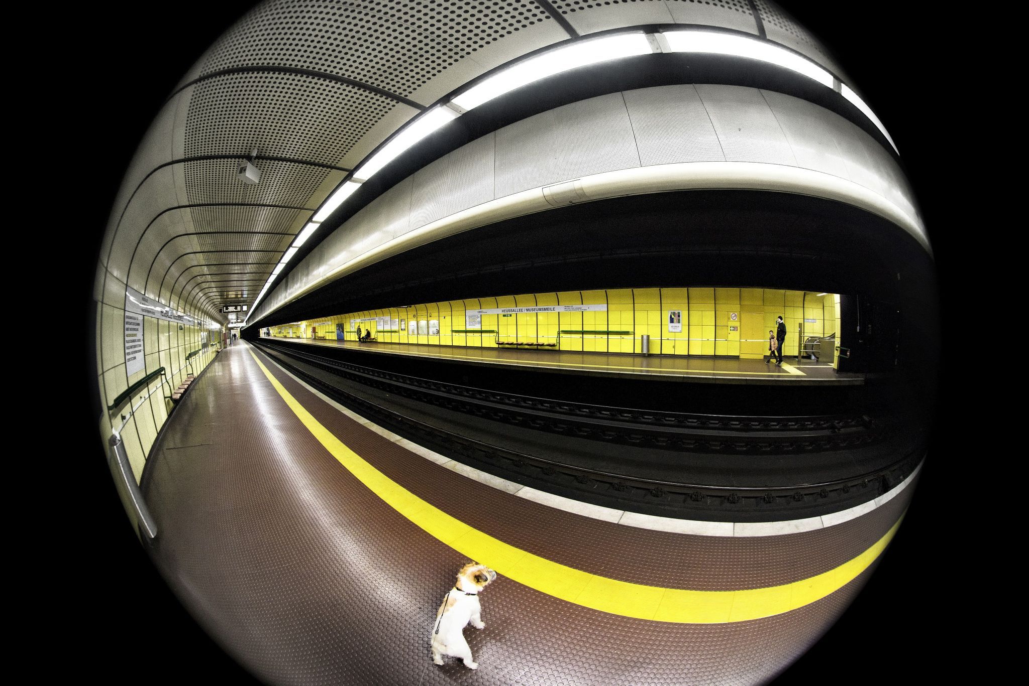 Subway Station Gronau Heussallee/ Museumsmeile, Bonn, Germany