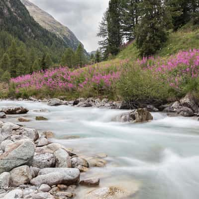 Summer in Val Bever, Switzerland