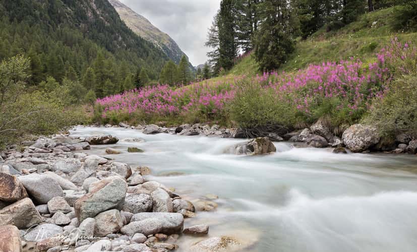 Summer in Val Bever