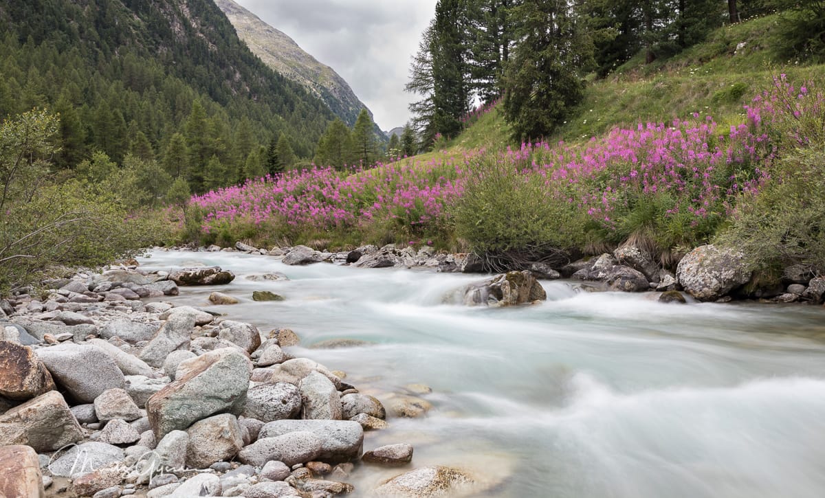 Summer in Val Bever, Switzerland