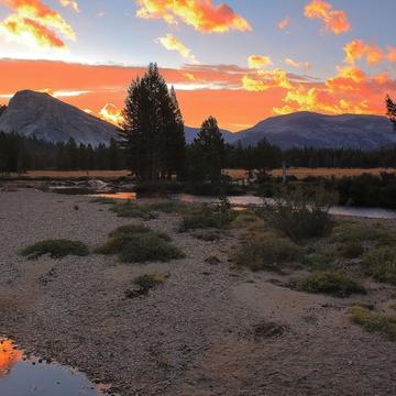 Sunrise by the Tuolumne River, USA