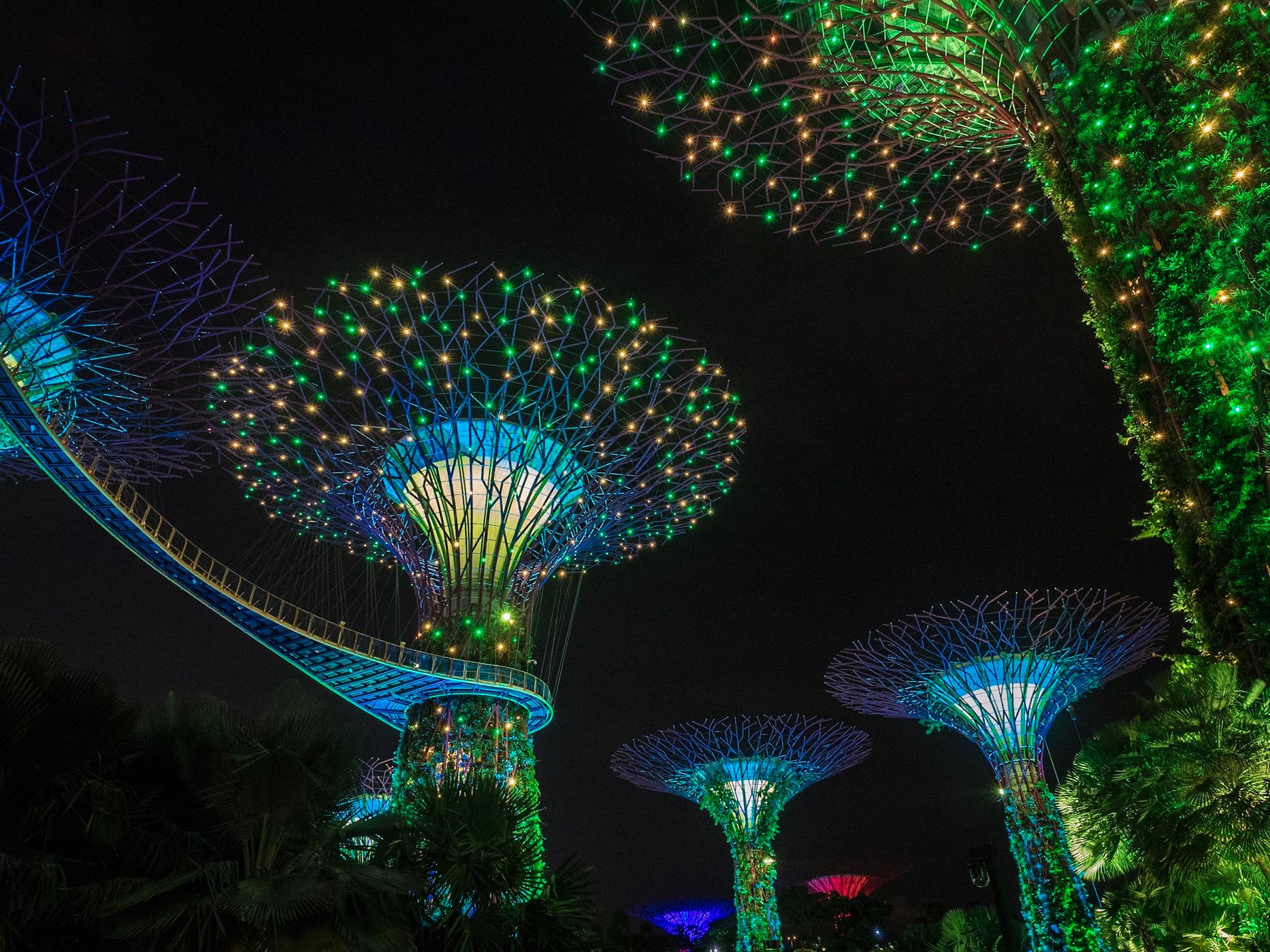 Supertree Grove, Gardens by the bay, Singapore