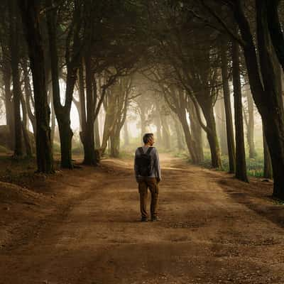 The Druid Forest, Portugal