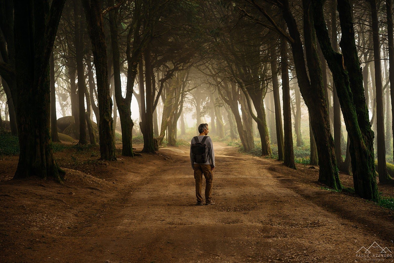 The Druid Forest, Portugal