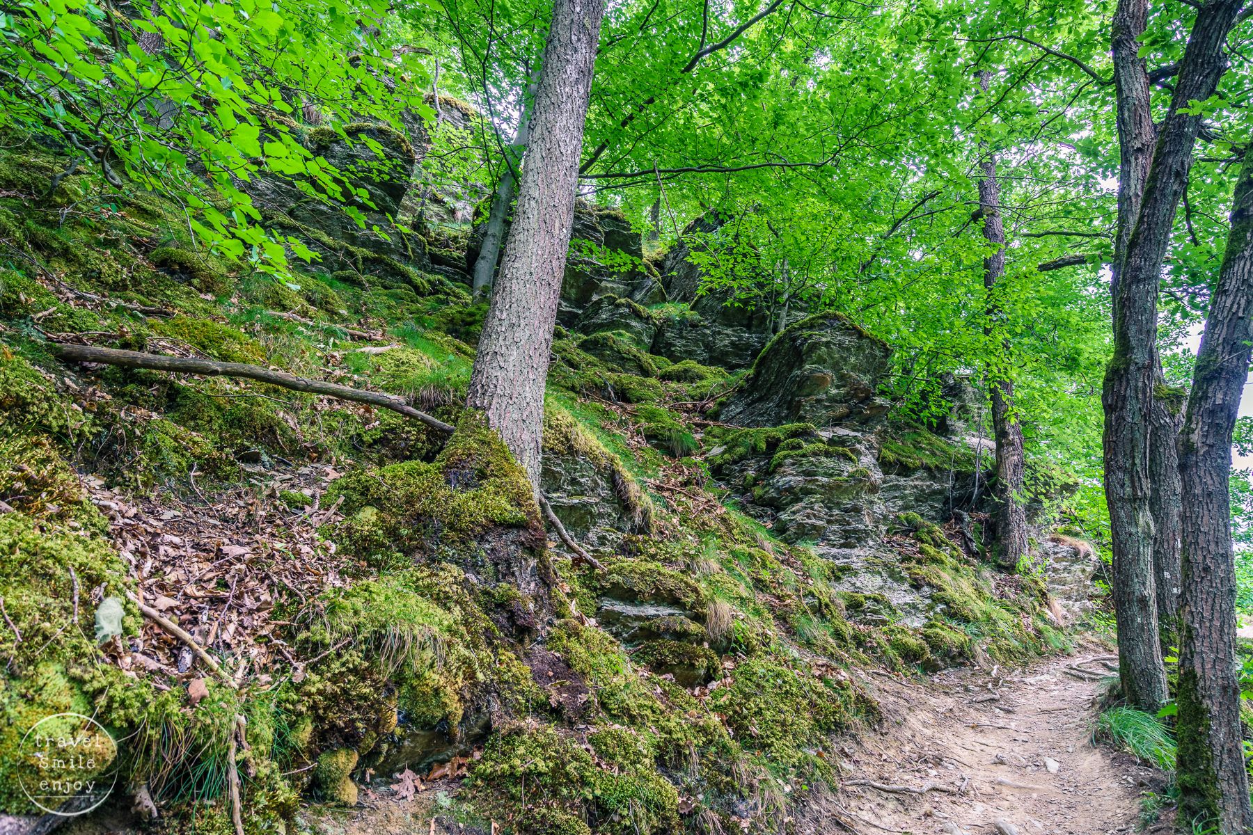 Traumschleife Ehrbachklamm im Hunsrück, Germany