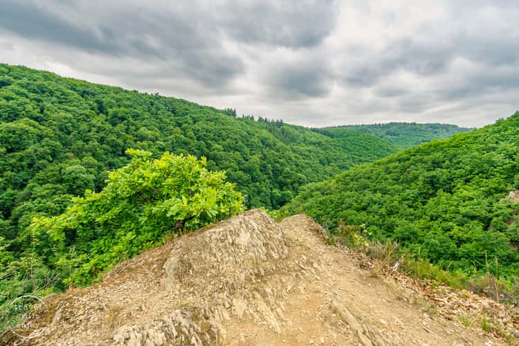 Traumschleife Ehrbachklamm im Hunsrück
