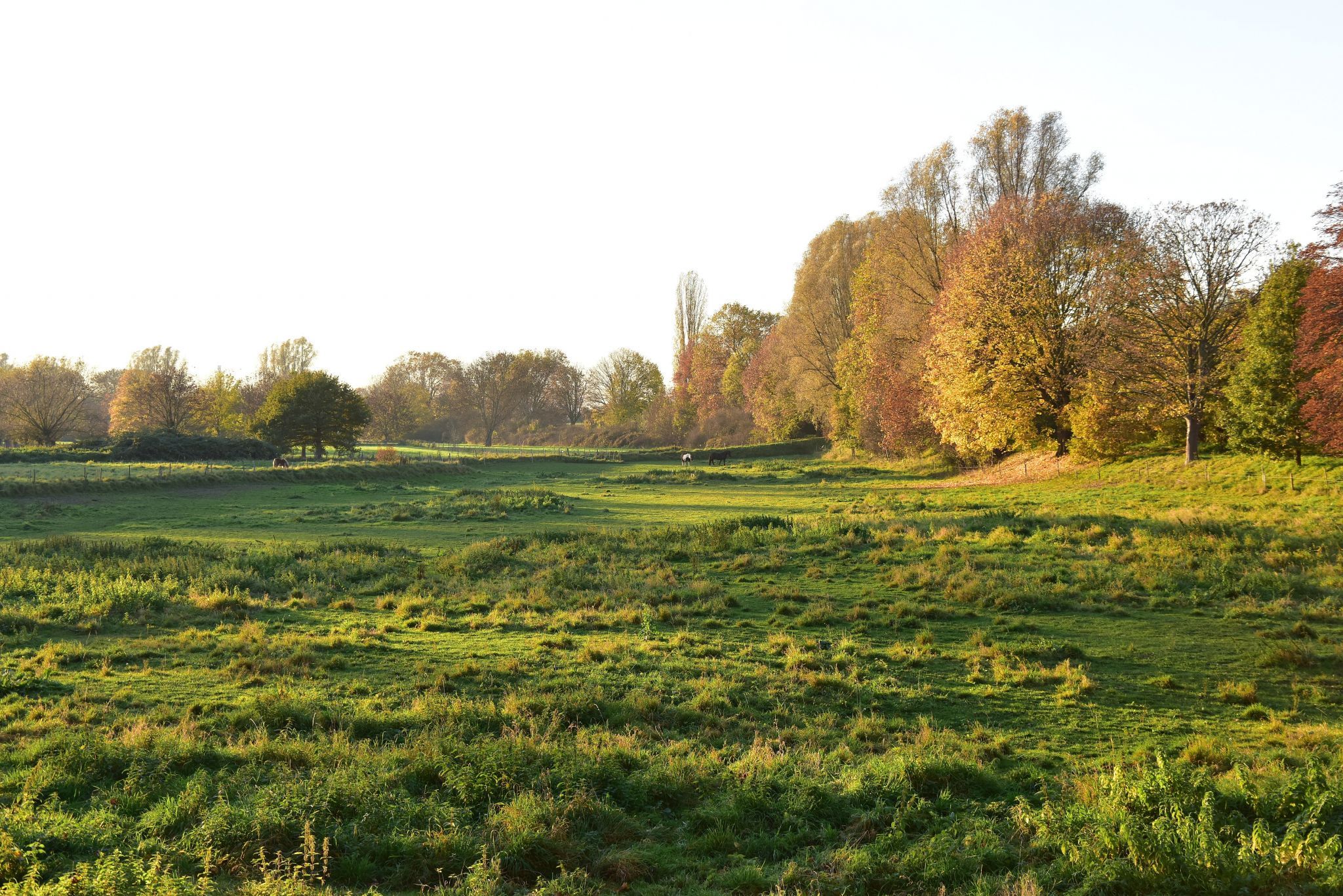 Vilich, Germany