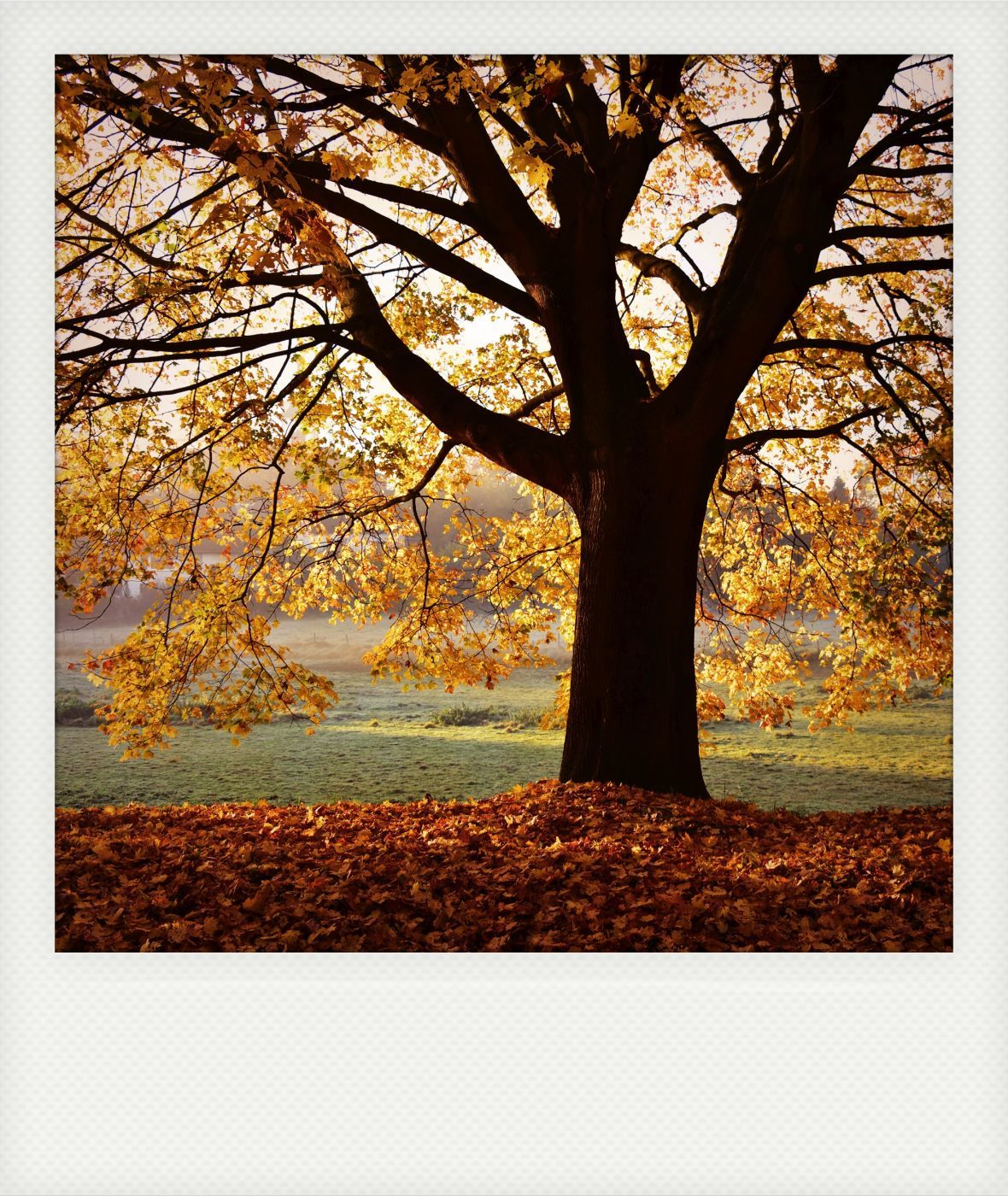 Vilich, Germany