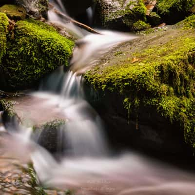 Wolfschlucht, Zwingenberg, Germany