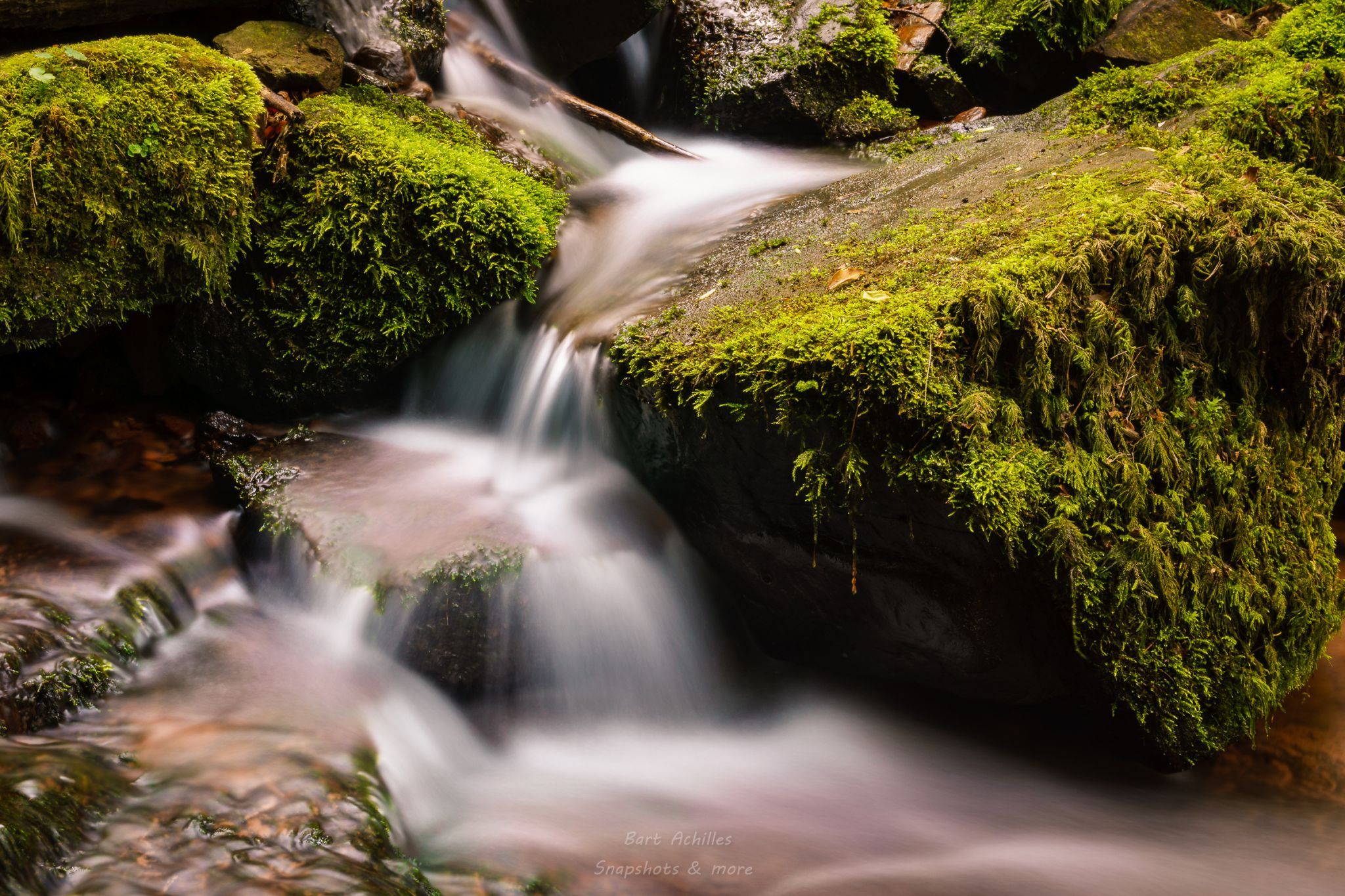 Wolfschlucht, Zwingenberg, Germany