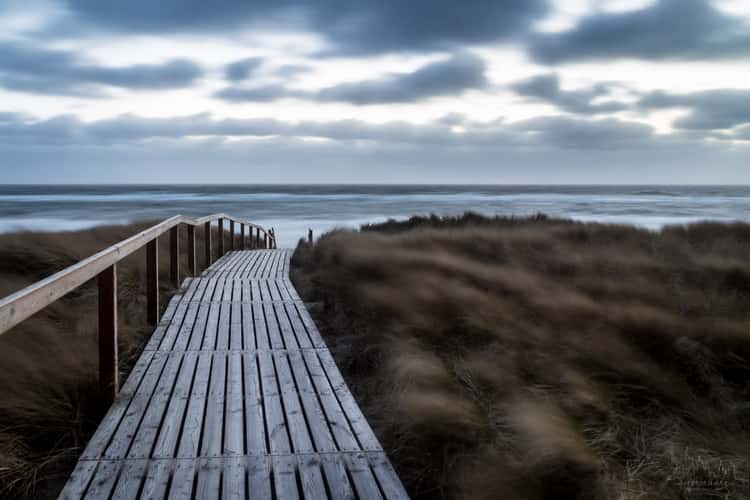 Wooden walkway in Rantum