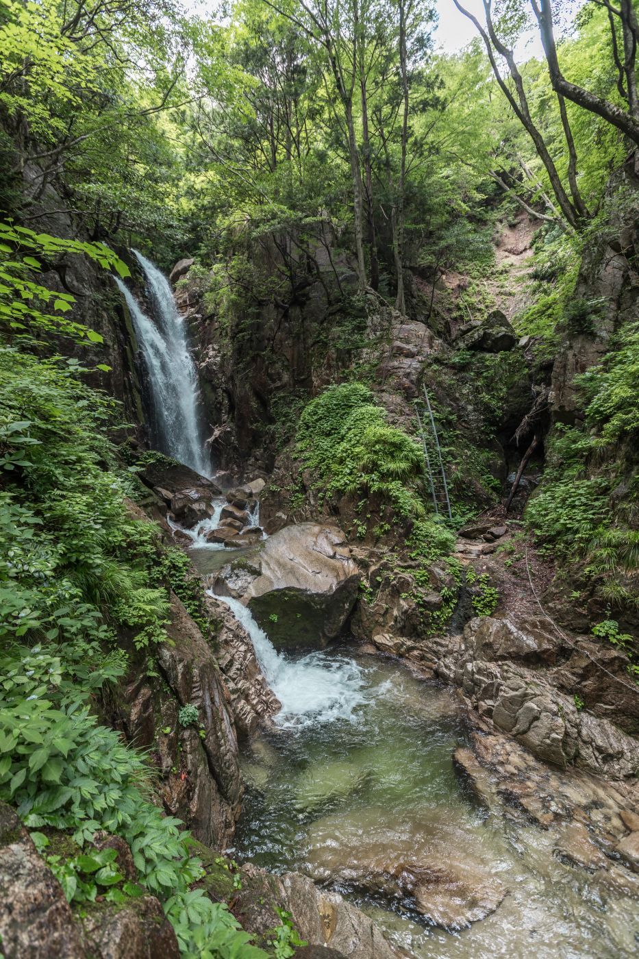 Yobaino Falls 楊梅の滝, Japan